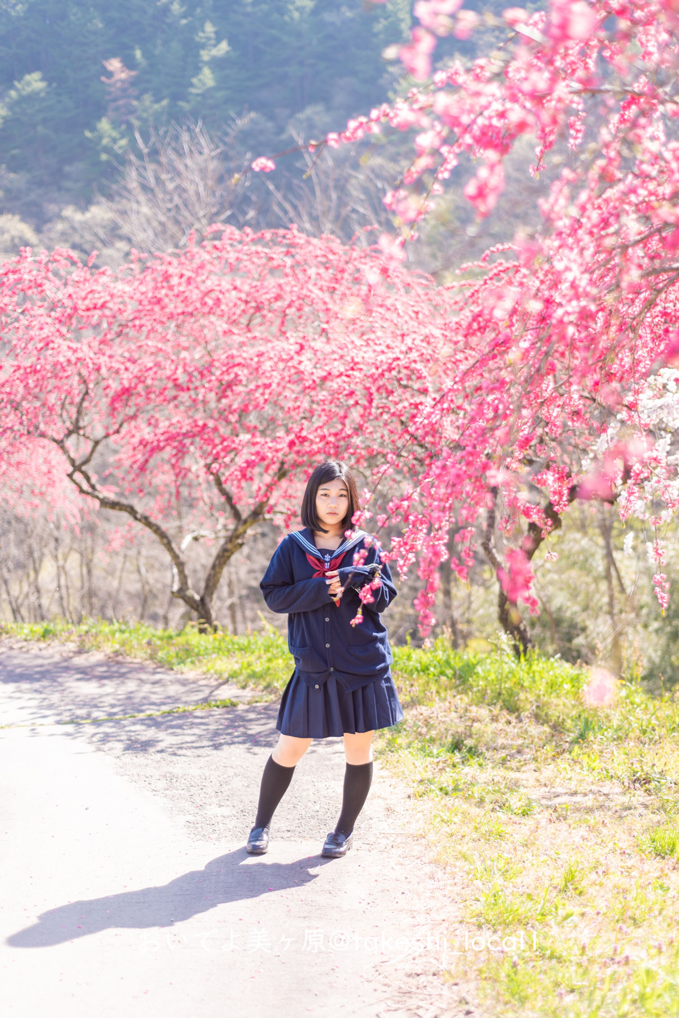 花桃ポートレート-1