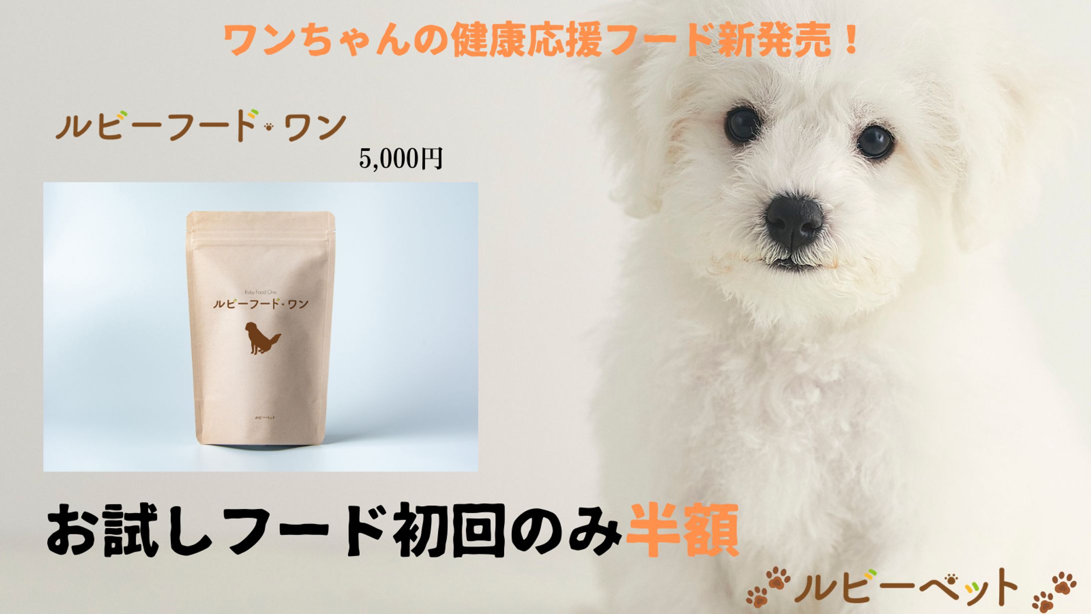 ワンちゃんの健康応援フード新発売！-1