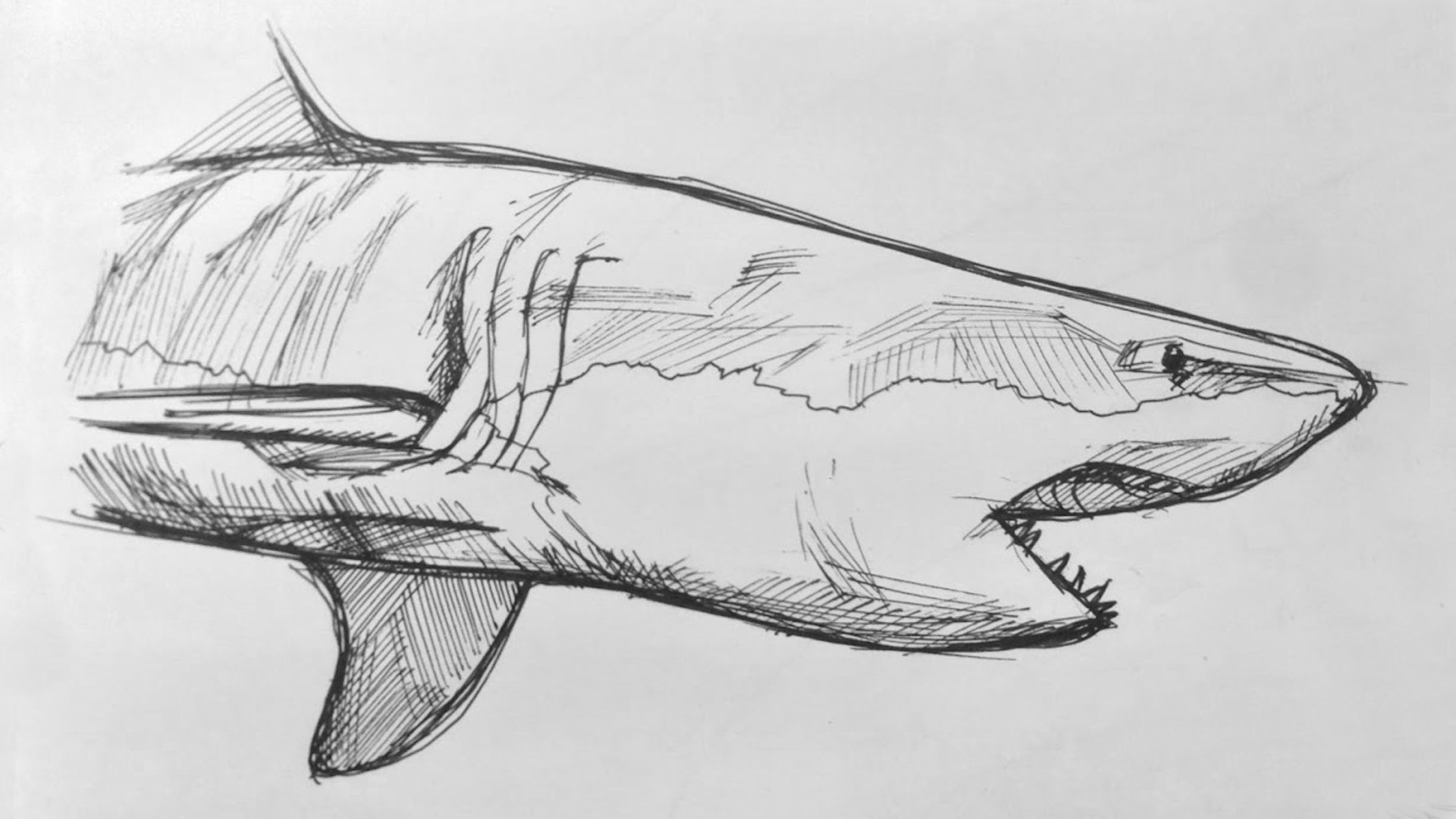 Doodles-1