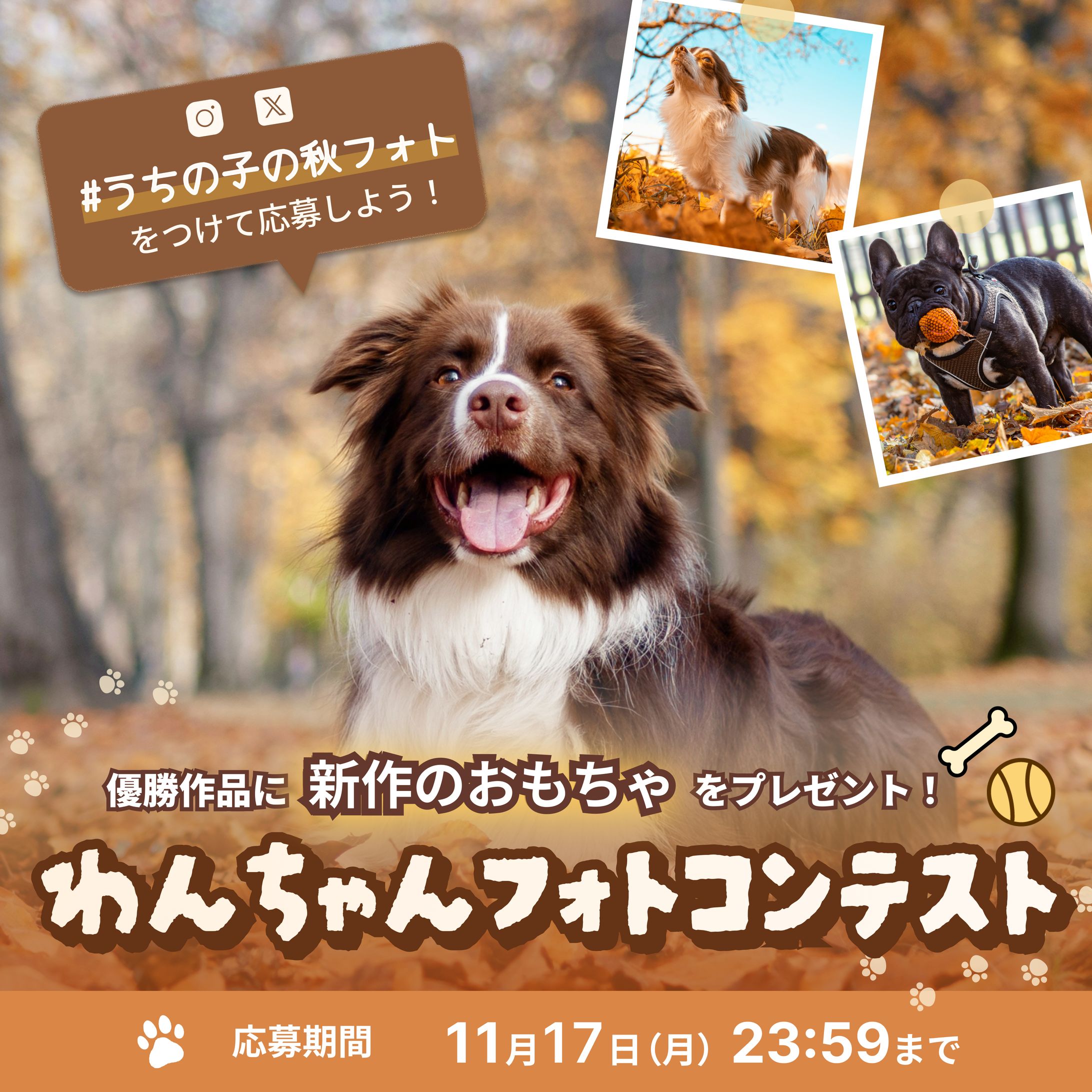 ペットの犬の秋フォトコンテストのバナー-1