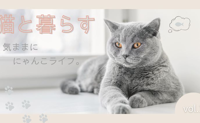 youtubeサムネイル　猫と暮らす