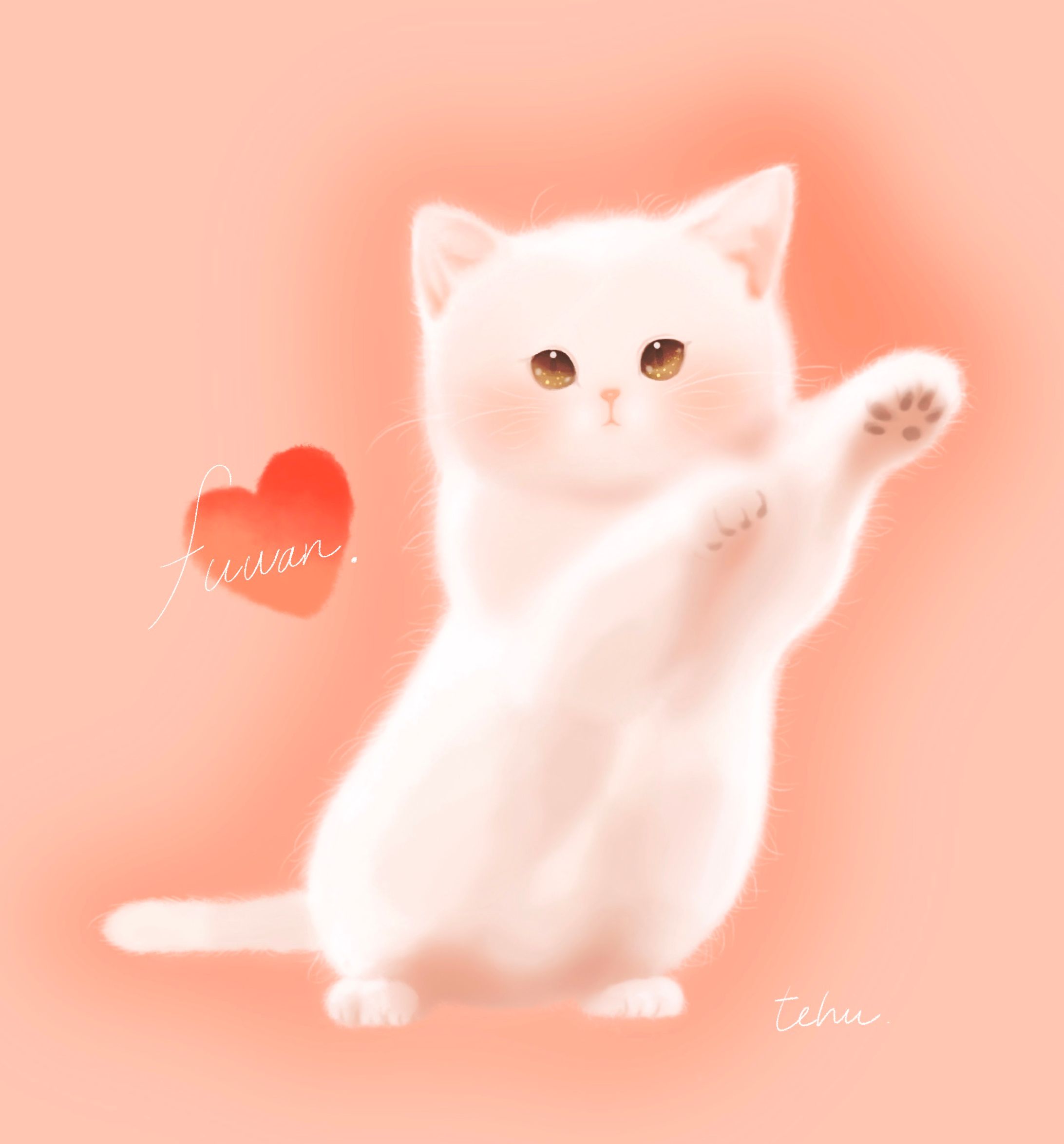 ふわふわの可愛い猫-1