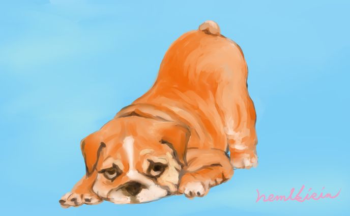 パラミックス、犬