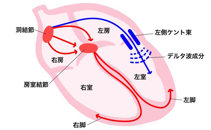 医療