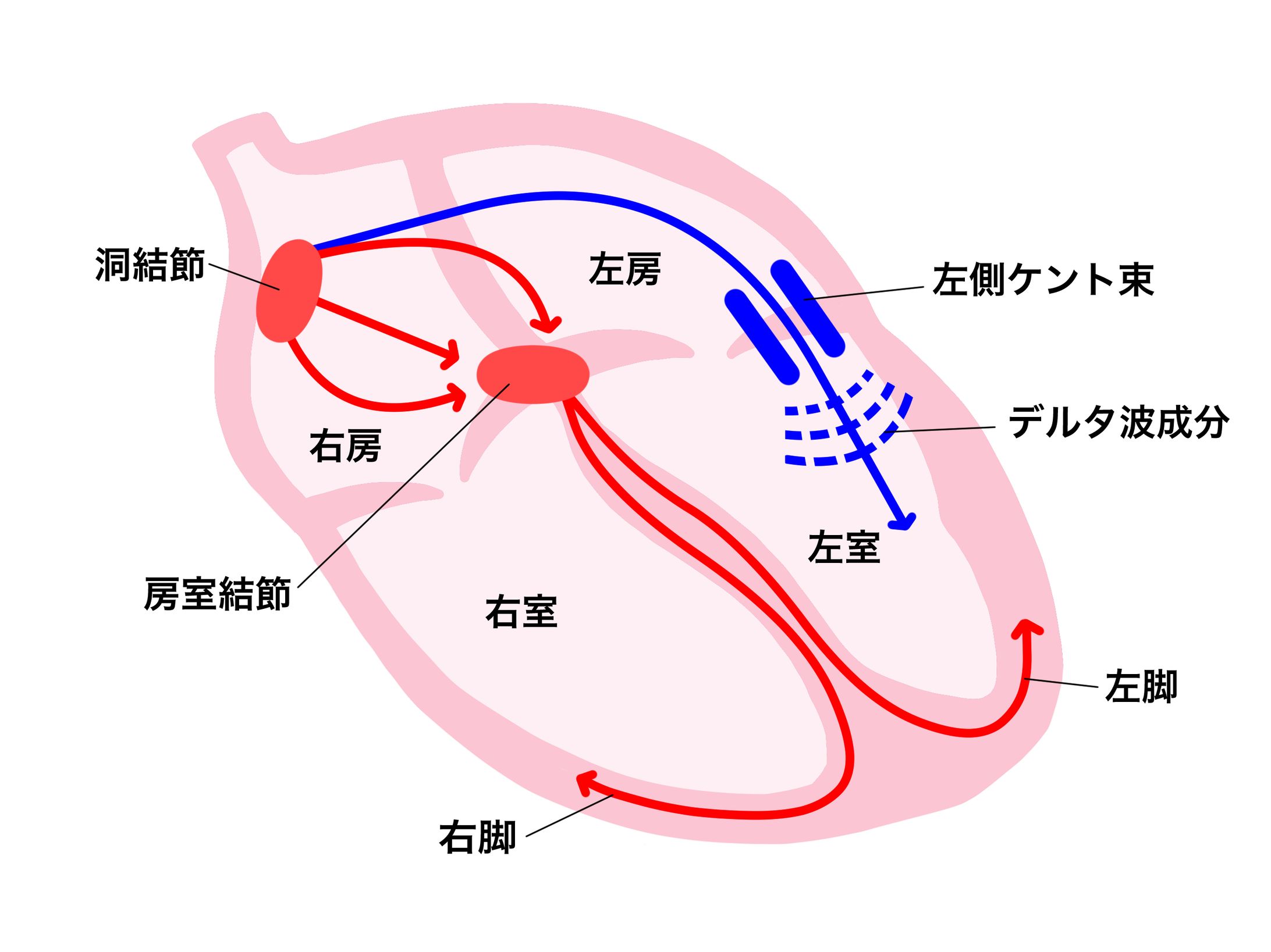 医療-1