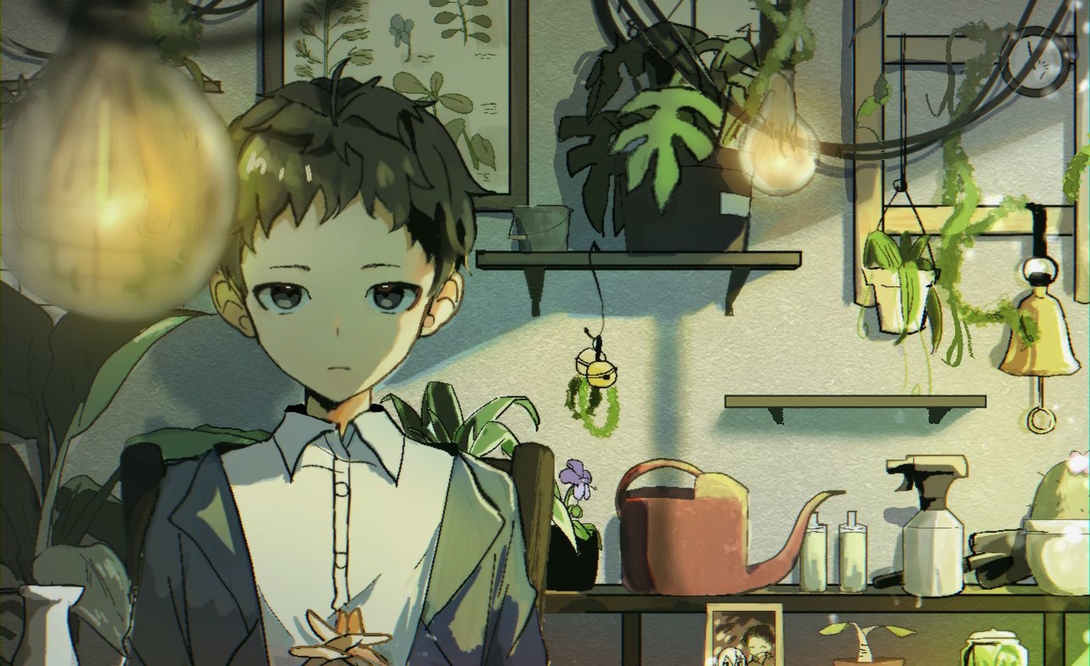 plants room-1