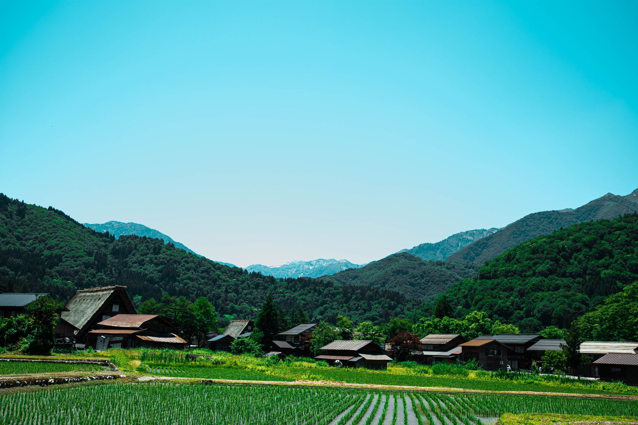 風景-1