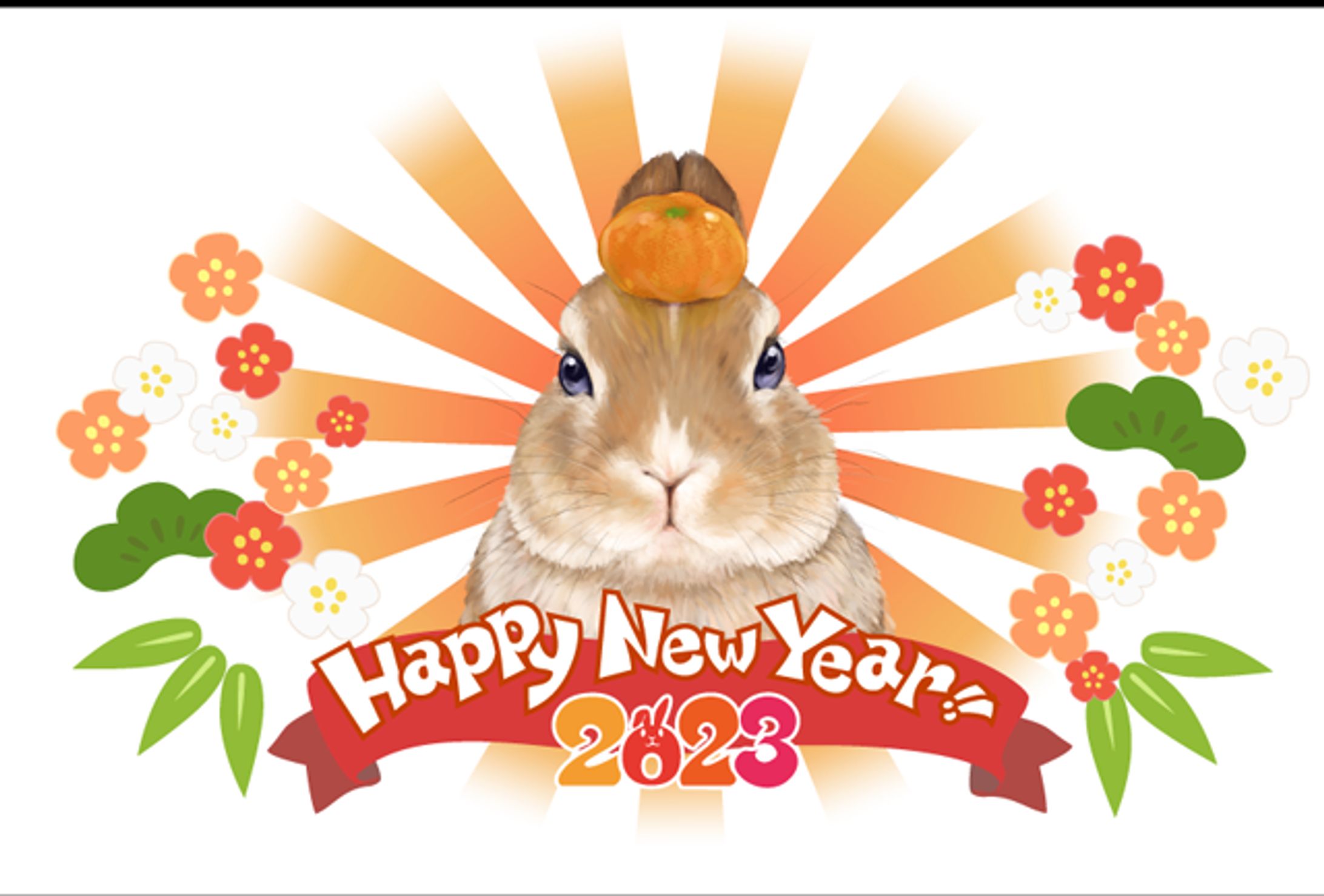 2023年のウサギ-1