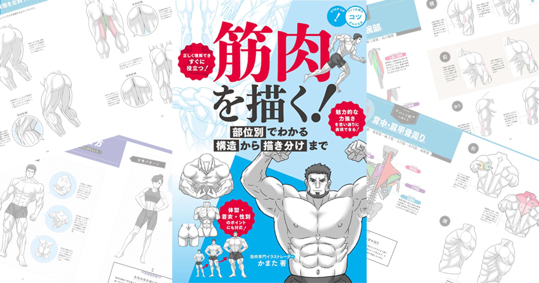 メイツ出版 監修本【筋肉を描く！】-1