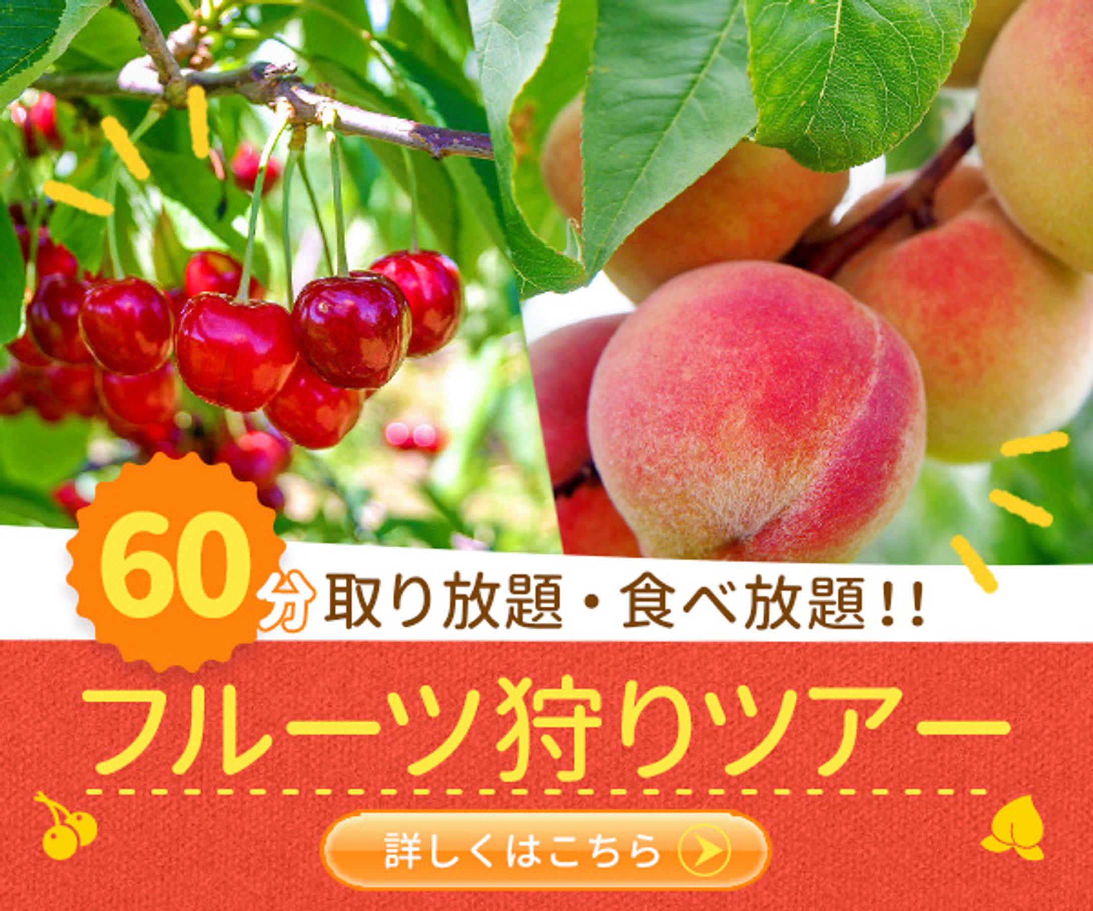 フルーツ狩りツアー-1