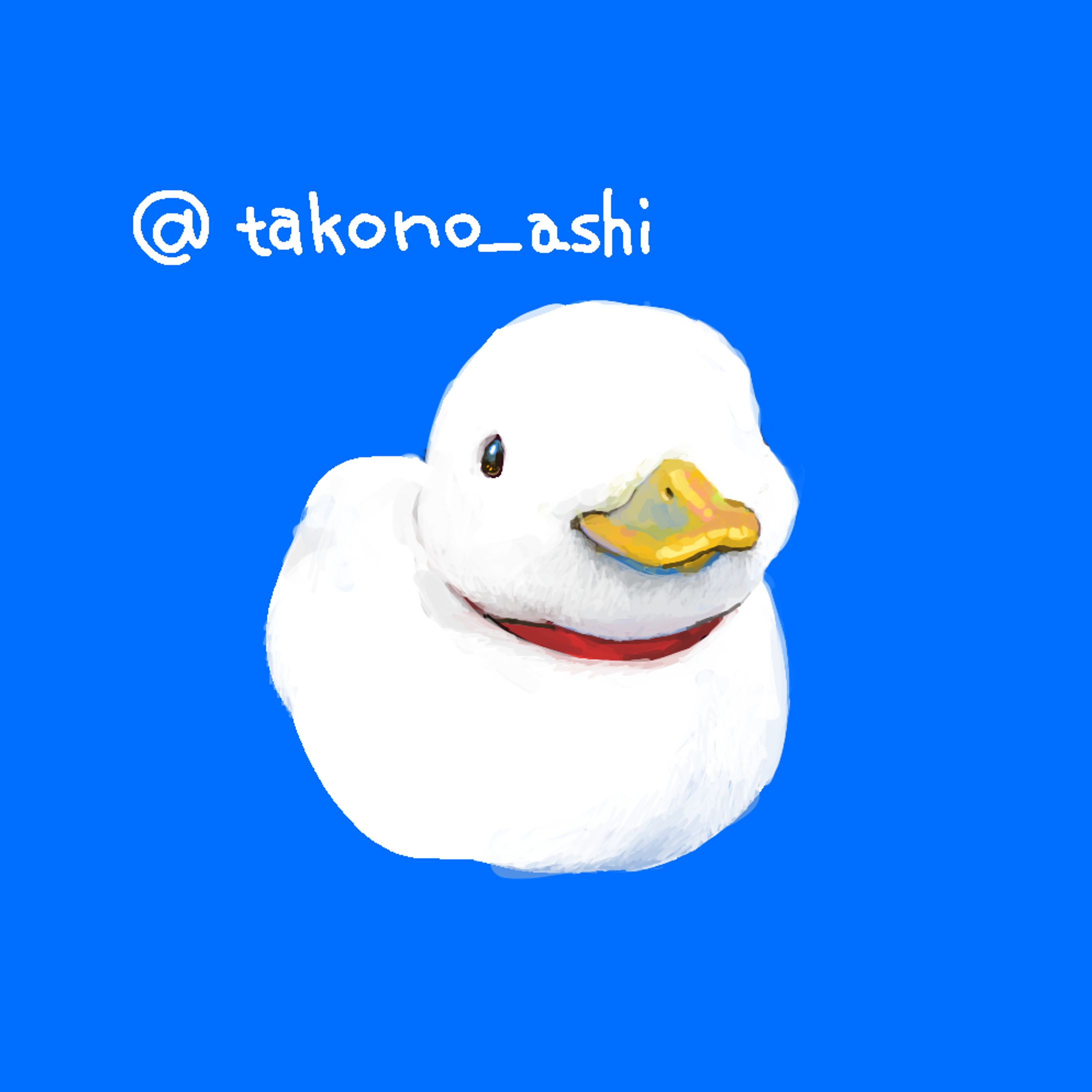 アヒル-1