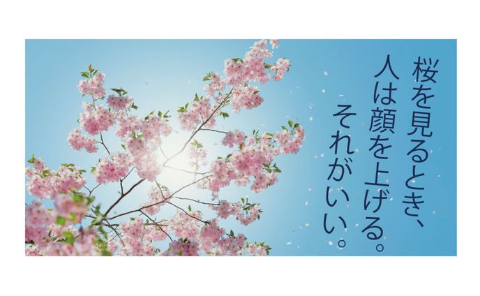 designer、others