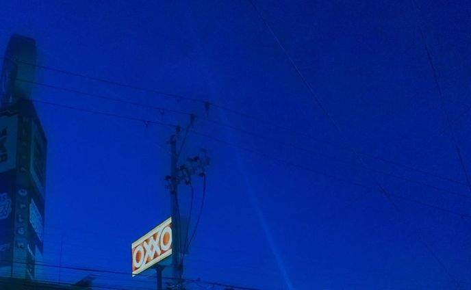 photography、2022