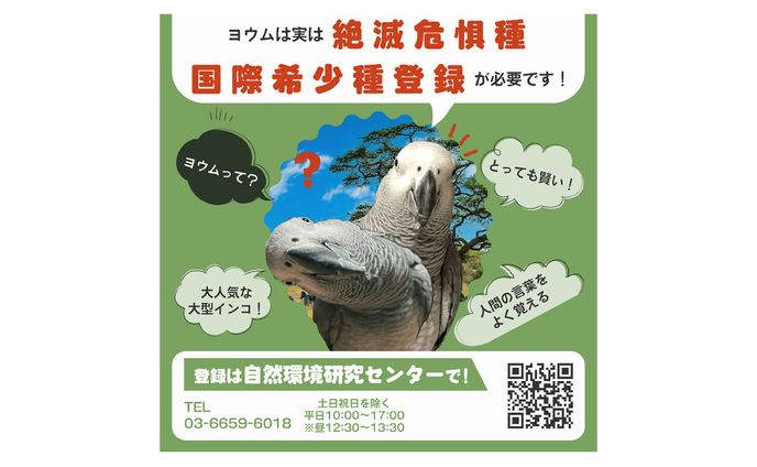 国際希少種登録（ヨウム）のバナー　周知
