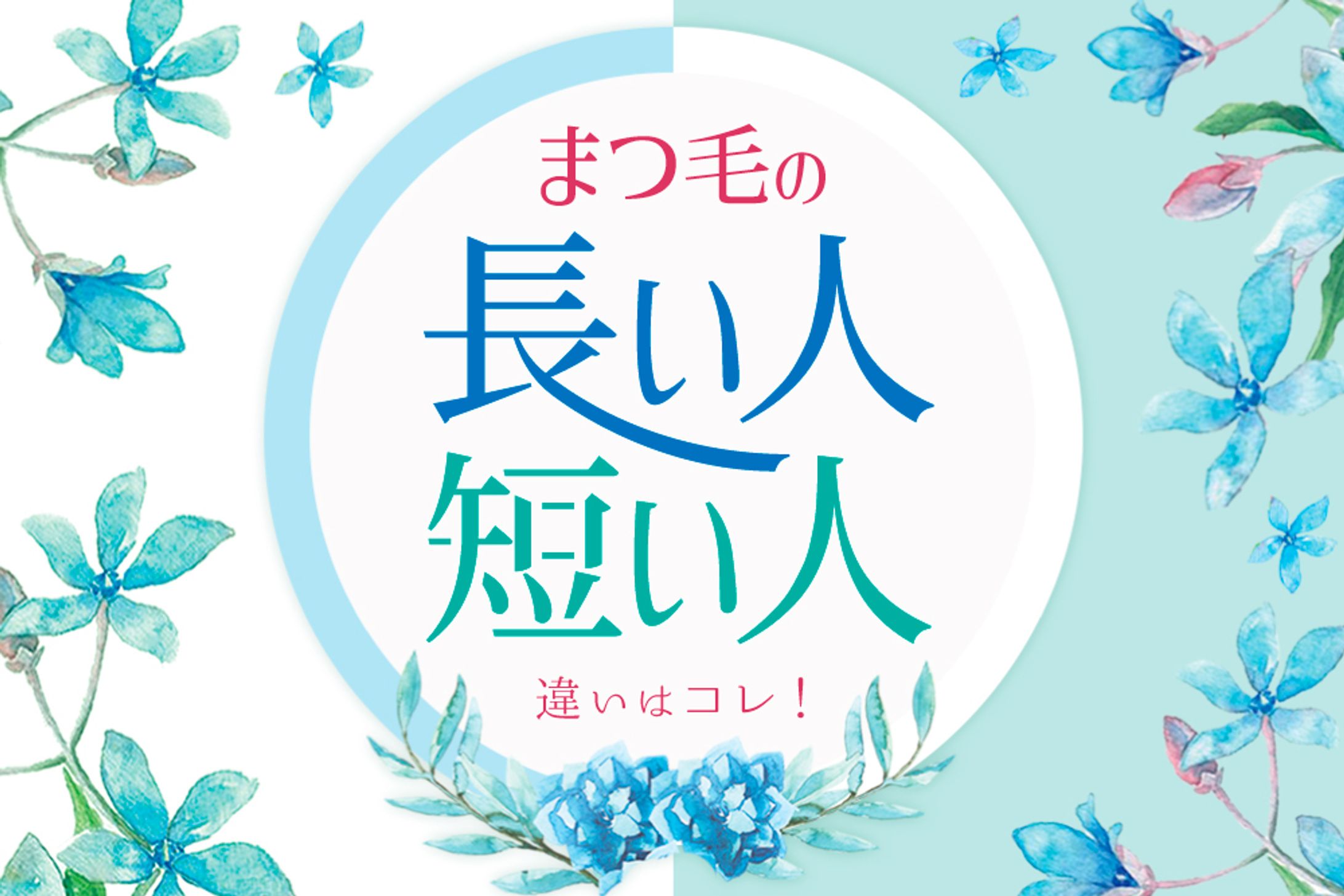 ブログアイキャッチ-1