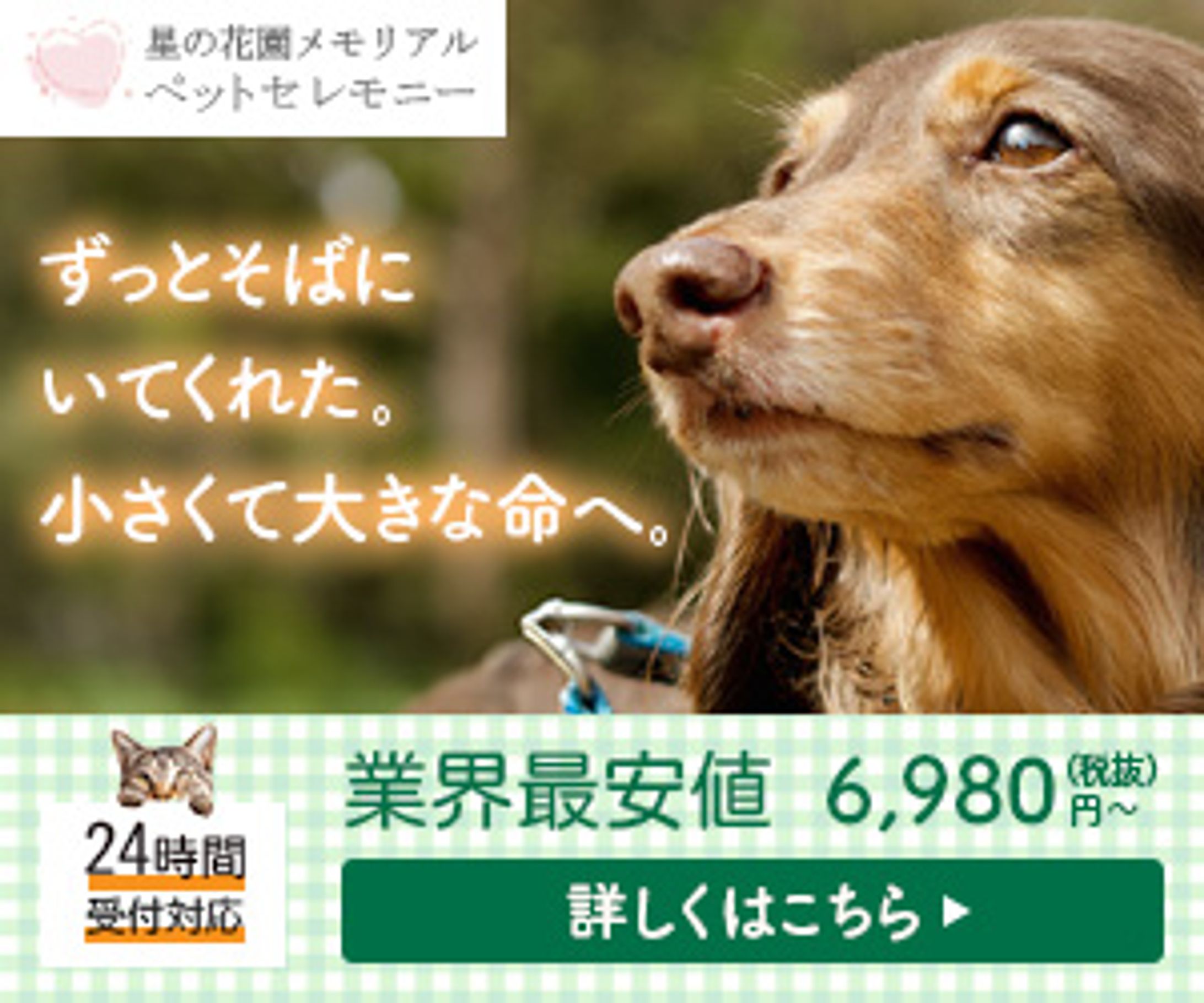 バナー：ペットセレモニー-1
