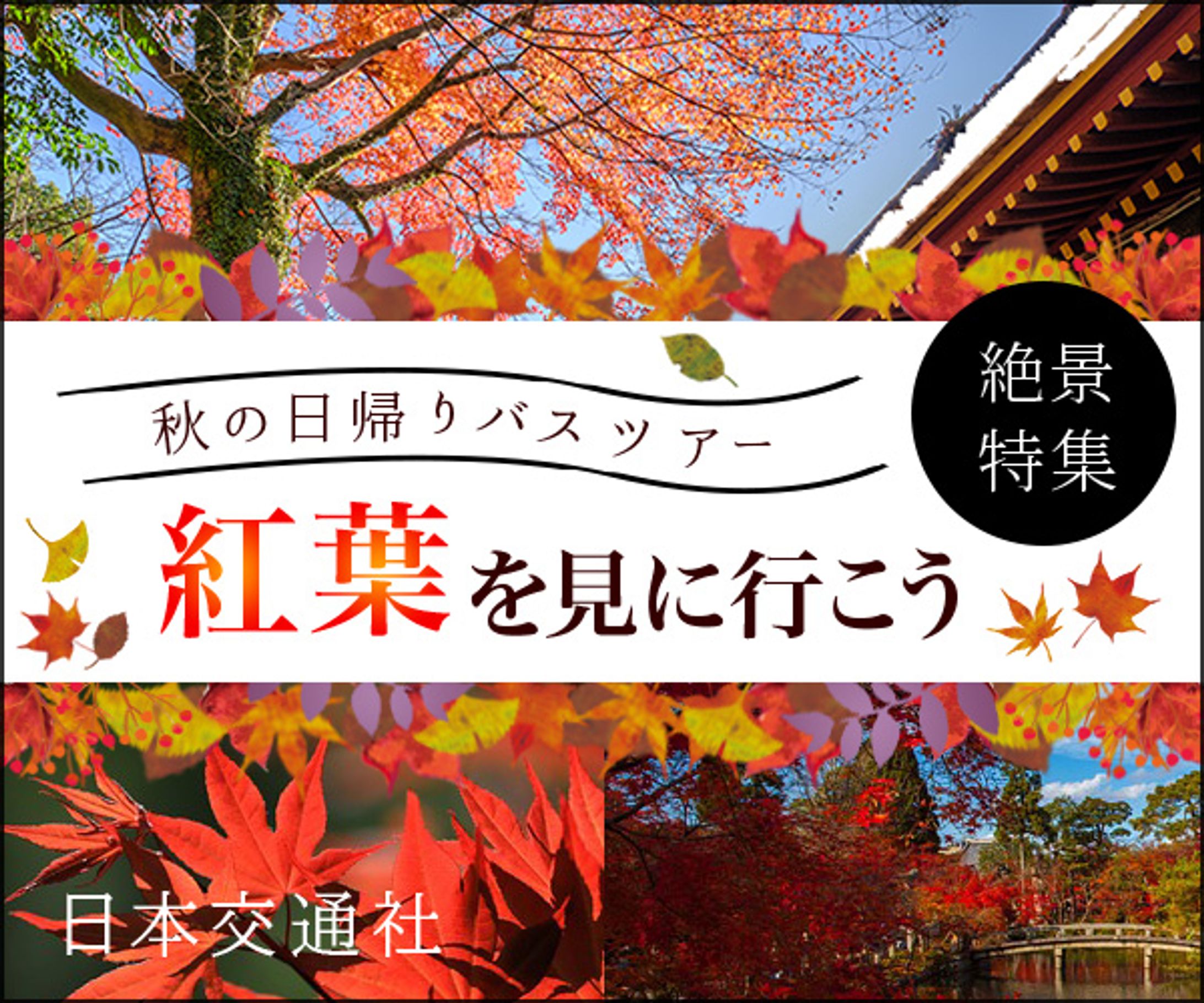 【バナー】バスツアー-1