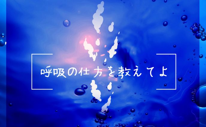 シナリオ、綺麗系