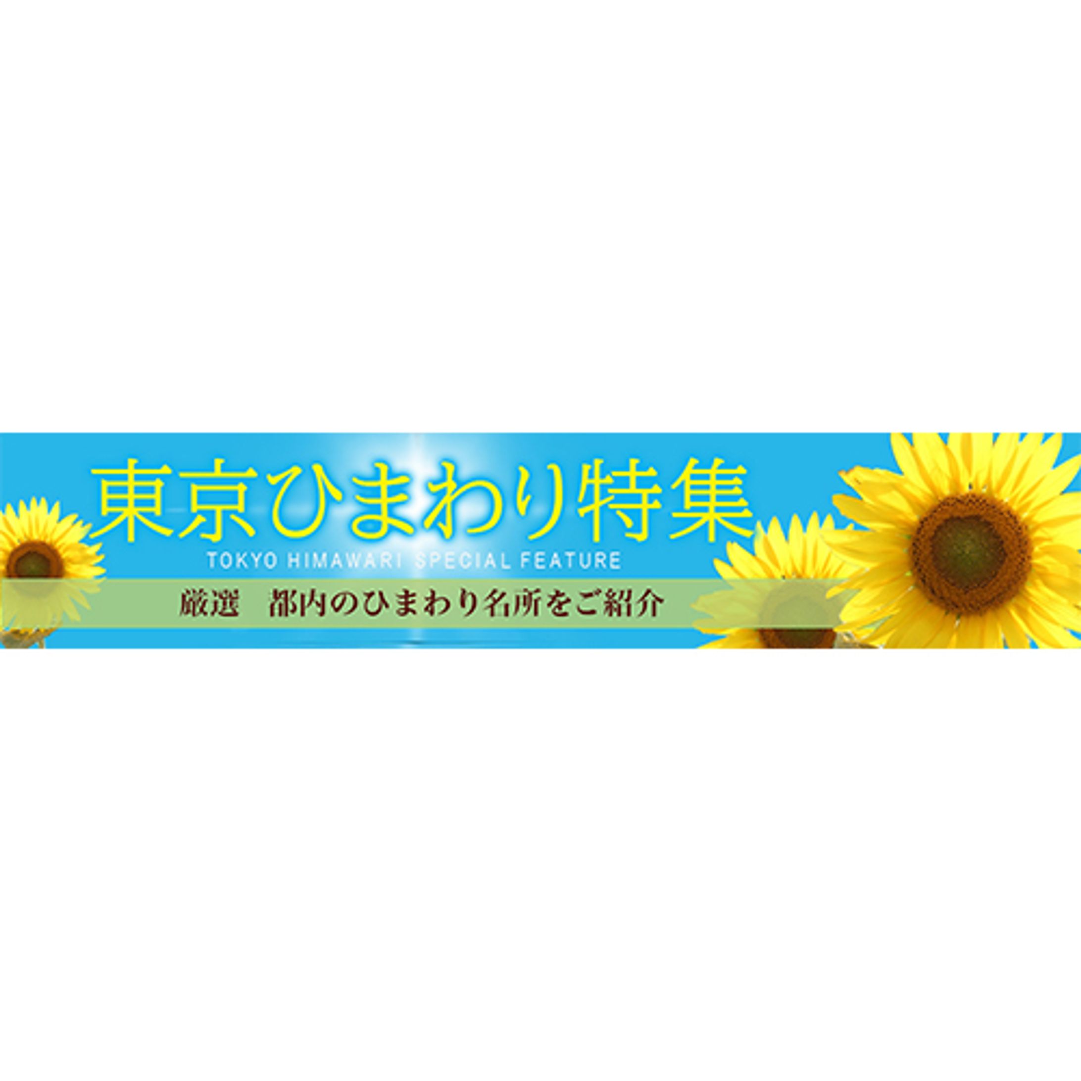 【バナー】東京ひまわり特集-1