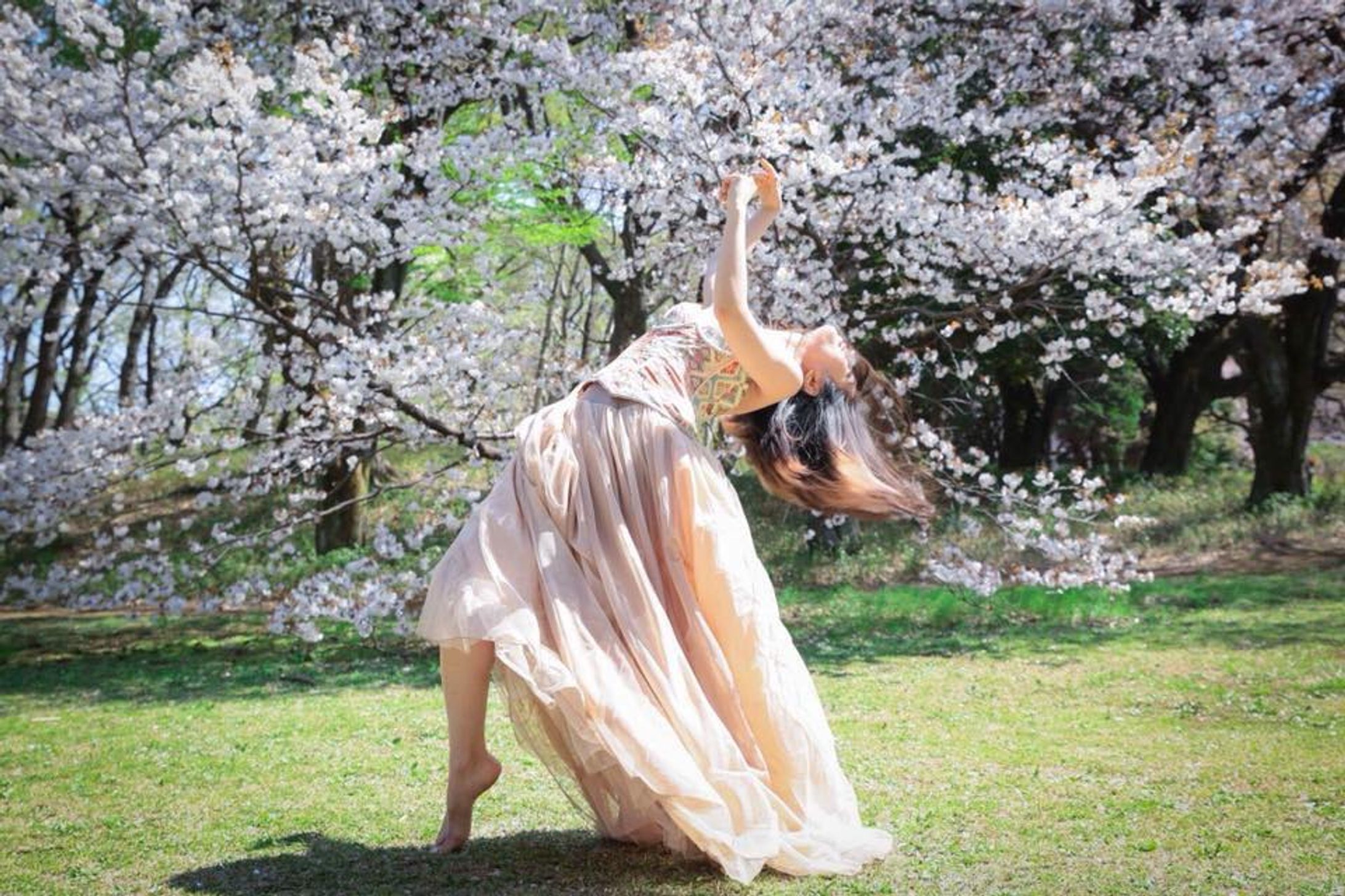 桜SAKURA（photo by OKAZUMI CHIE）-1