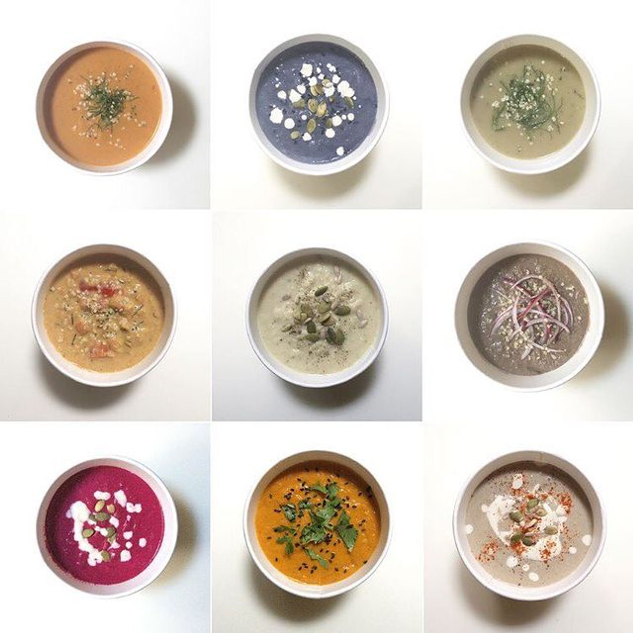 Vegan Soups Recipes 2017-1