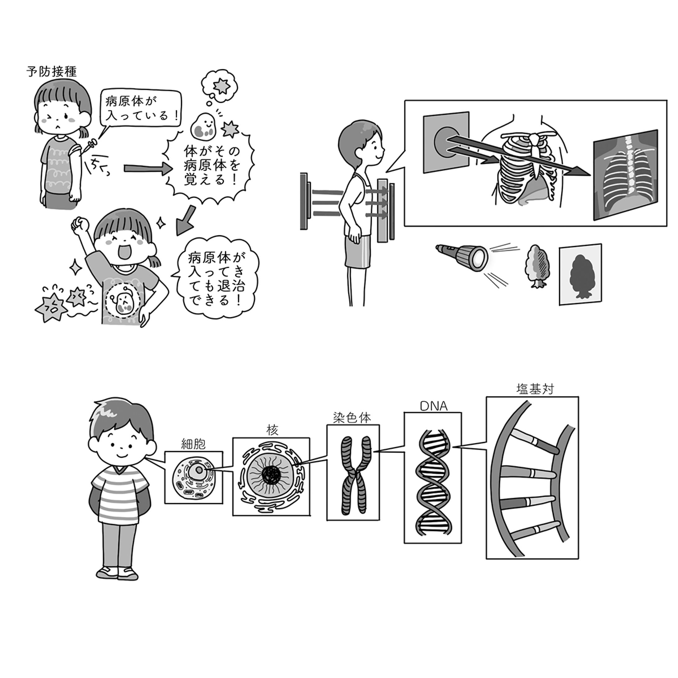 永岡書店『1日1ページで頭が良くなる小学生の教養』-1