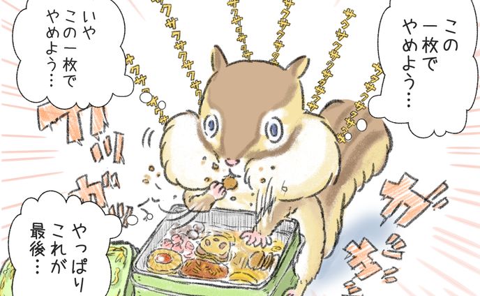 リス（クッキー缶）   コピー
