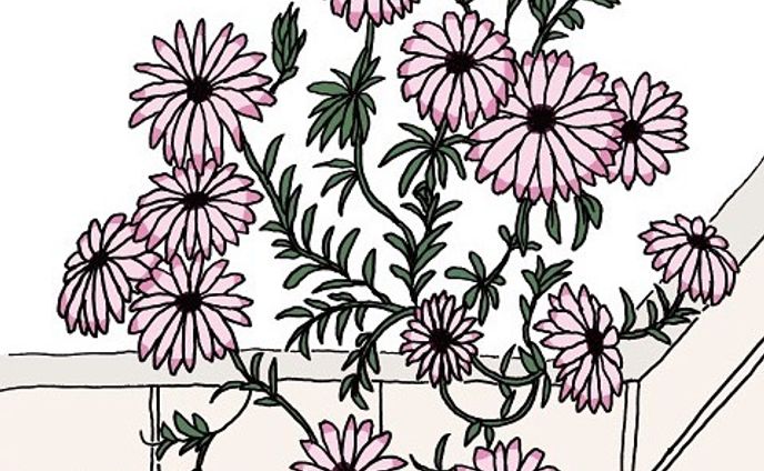 roadside flower

Be sure to check out the full size illustrations on the website.
..
#illustration #drawing #linedrawing #landscape