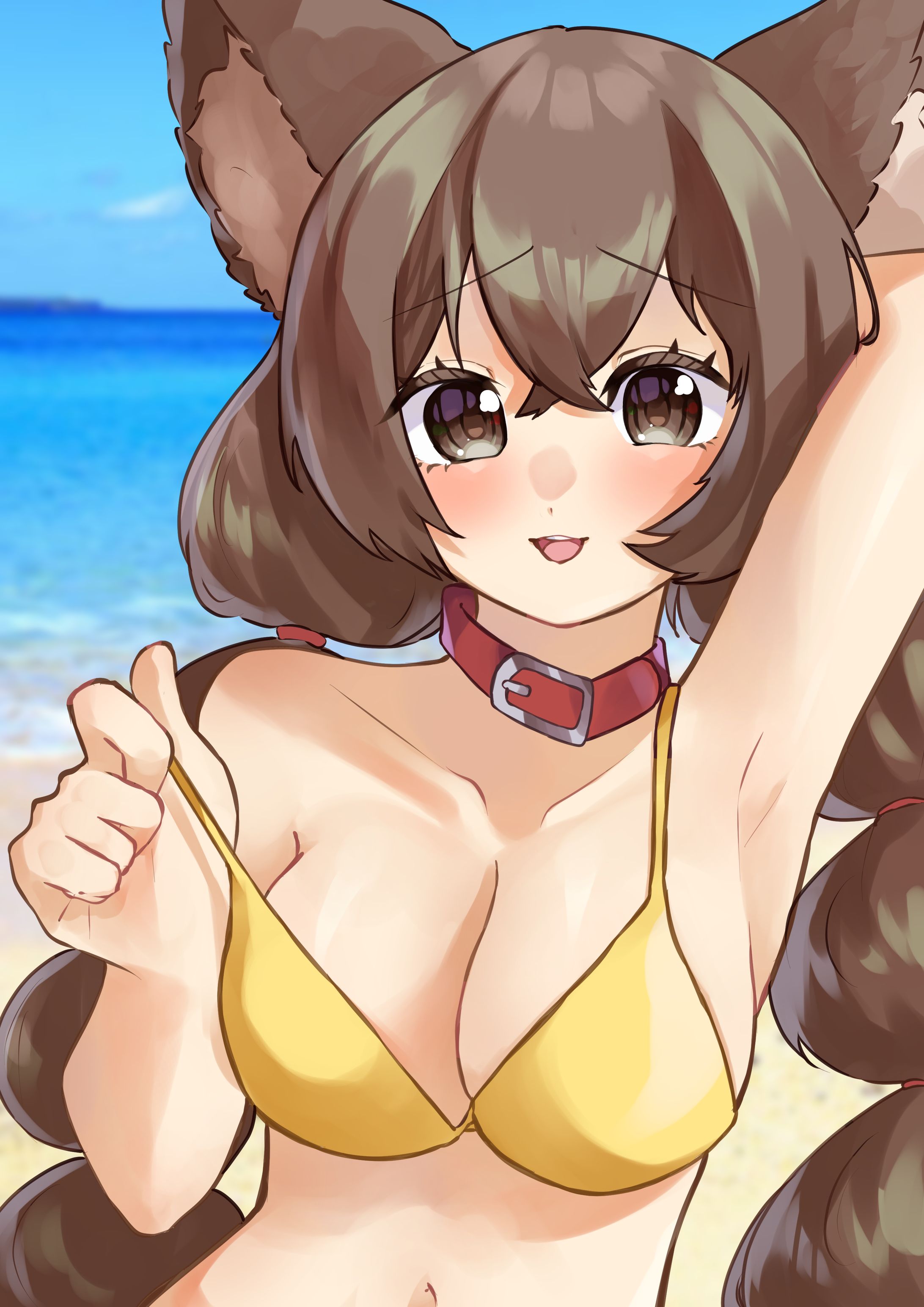 ポートフォリオ-1