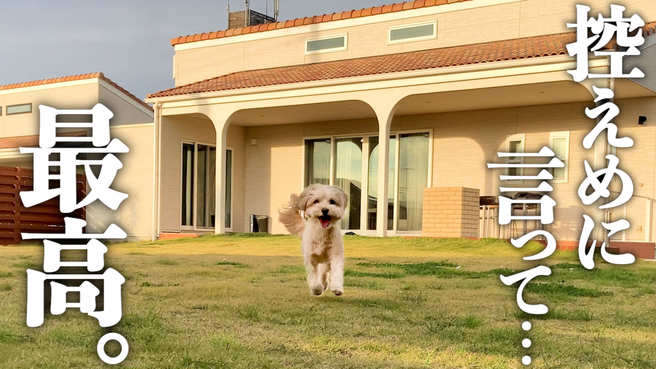 サムネイル　Vlog-1