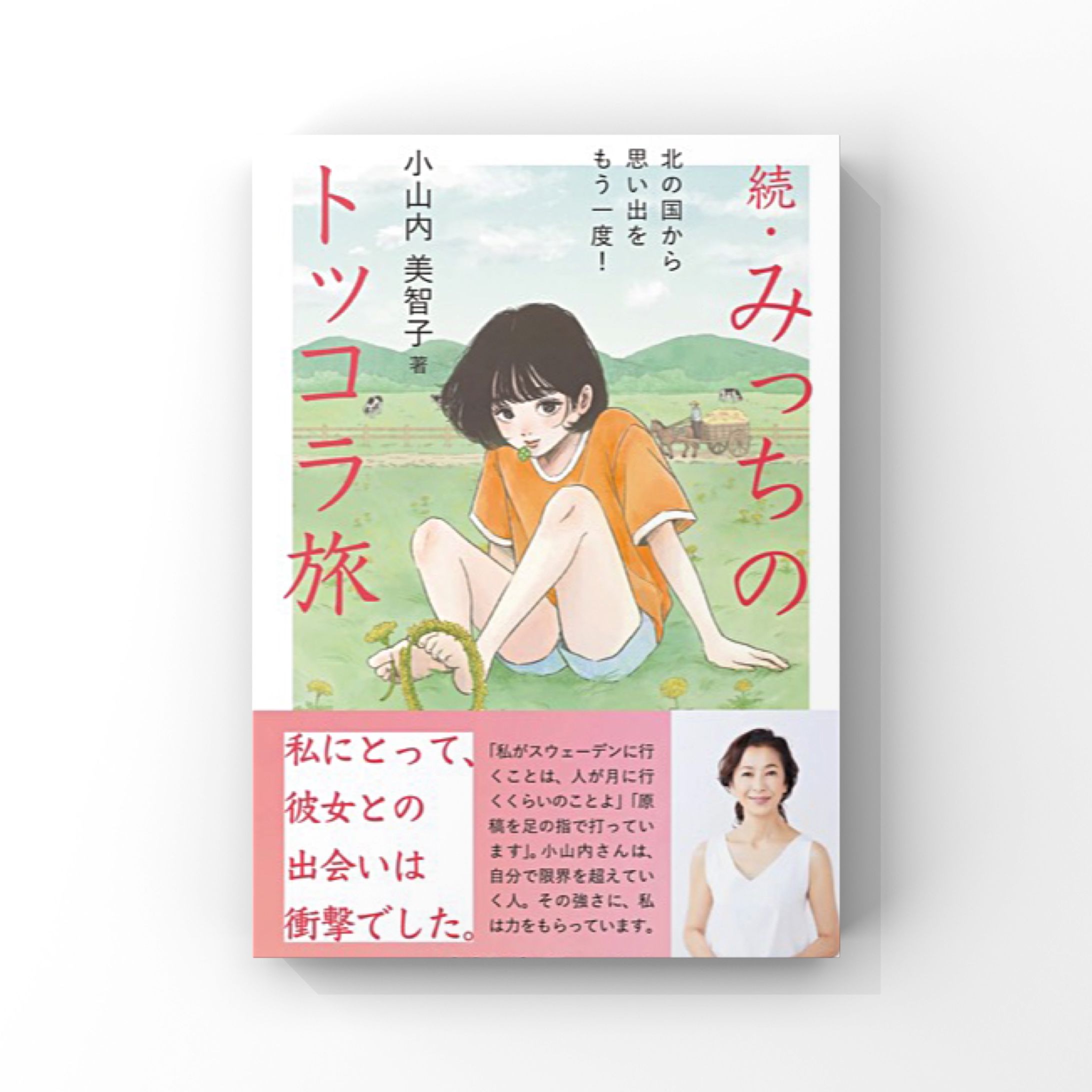 『続・みっちのトッコラ旅』装画-1
