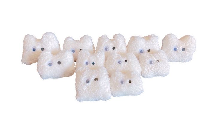 ぬいぐるみと粘土の「ふしぎないきもの」