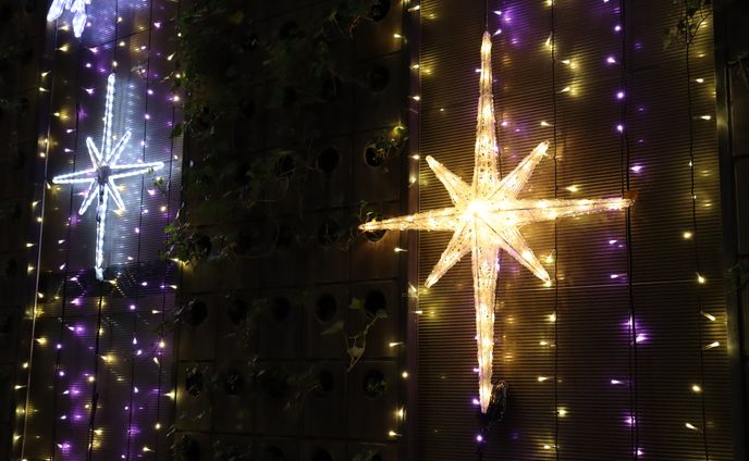 2020.12.1 ブロッサ（Blossa）