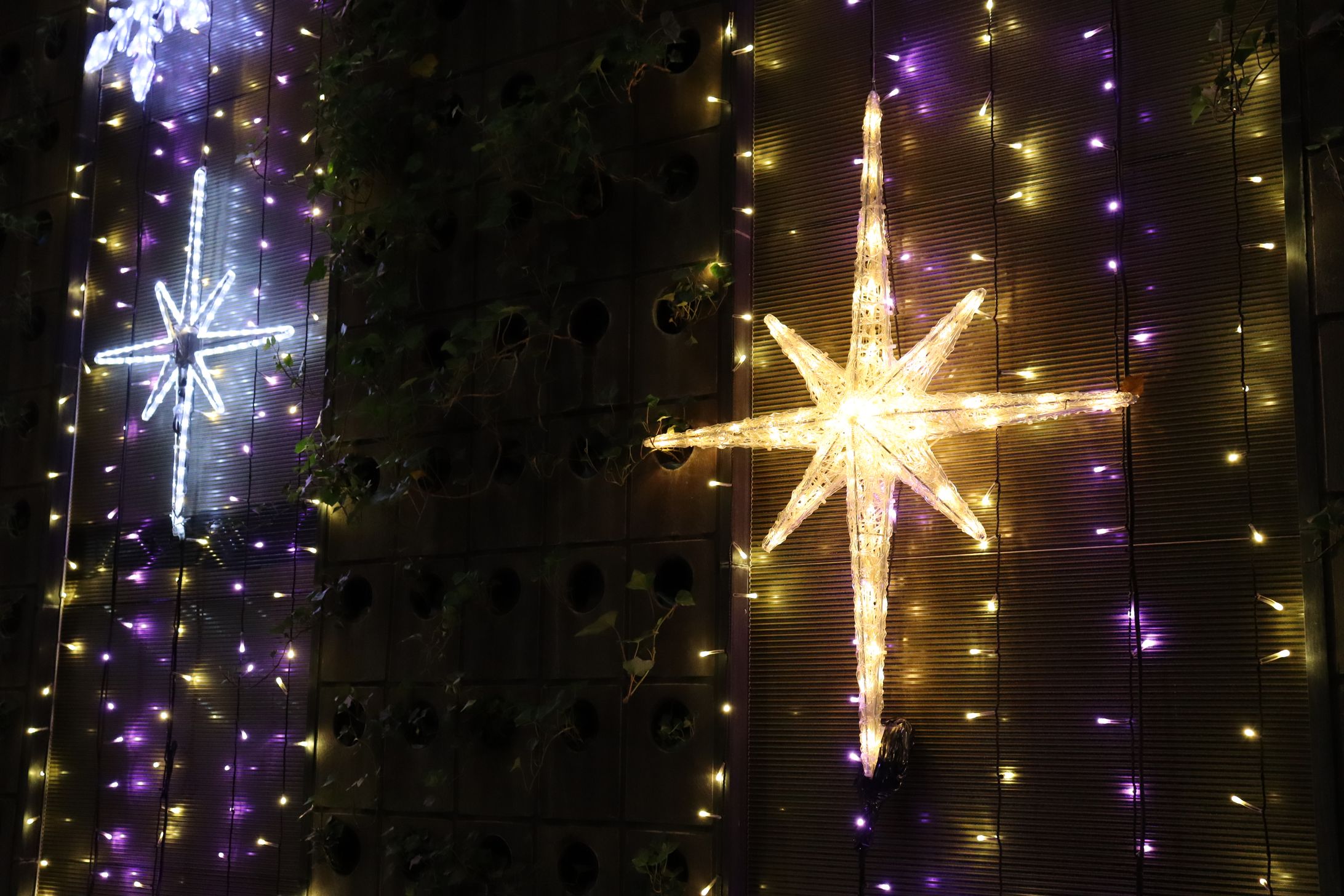 2020.12.1 ブロッサ（Blossa）-1