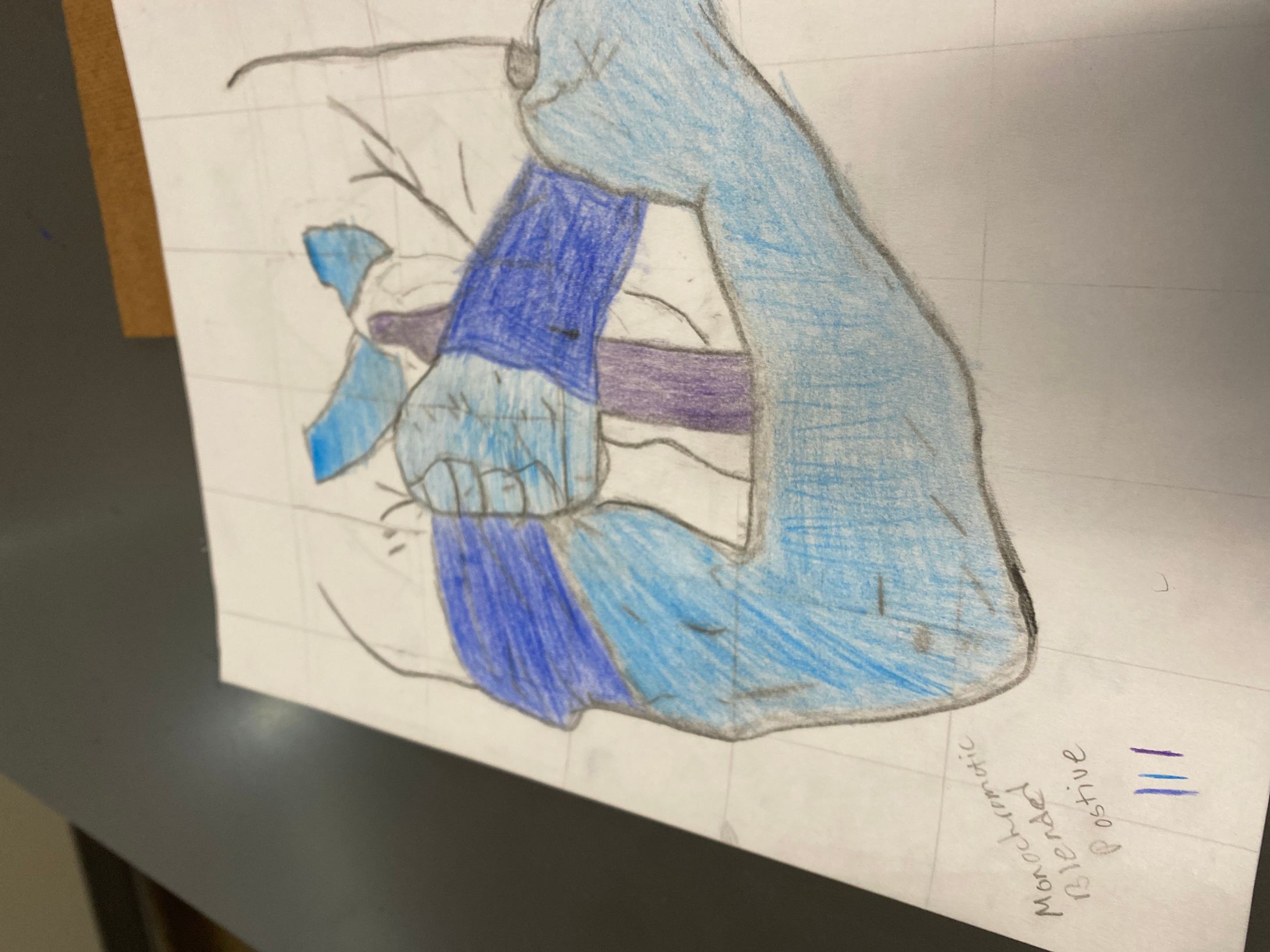 Grid drawing -1