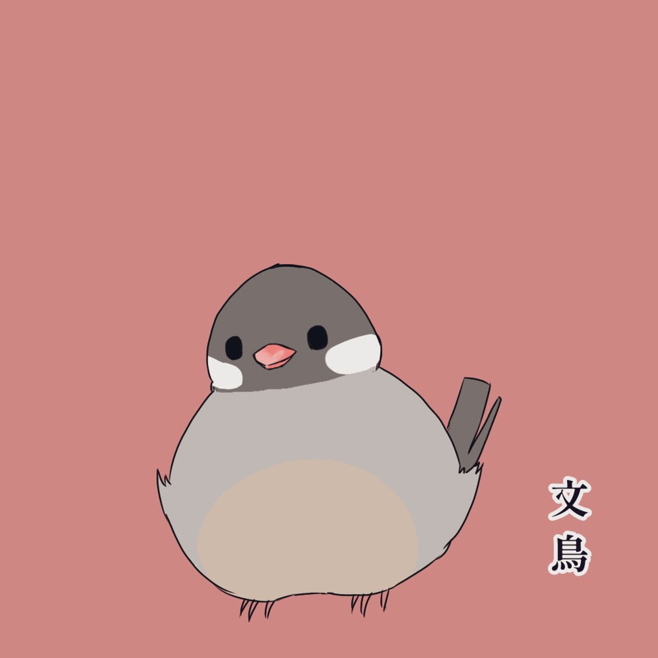 文鳥-1