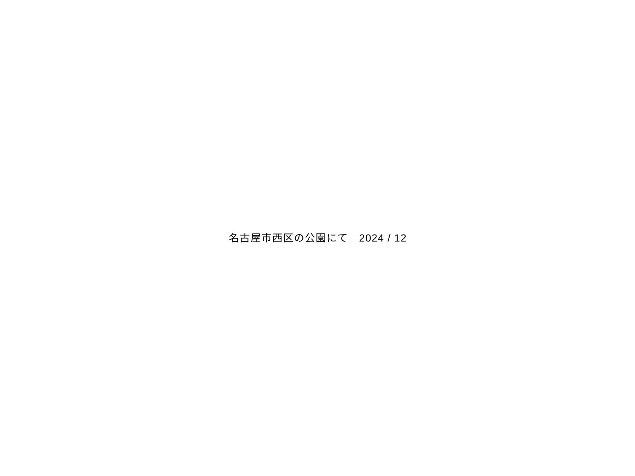 日常-1
