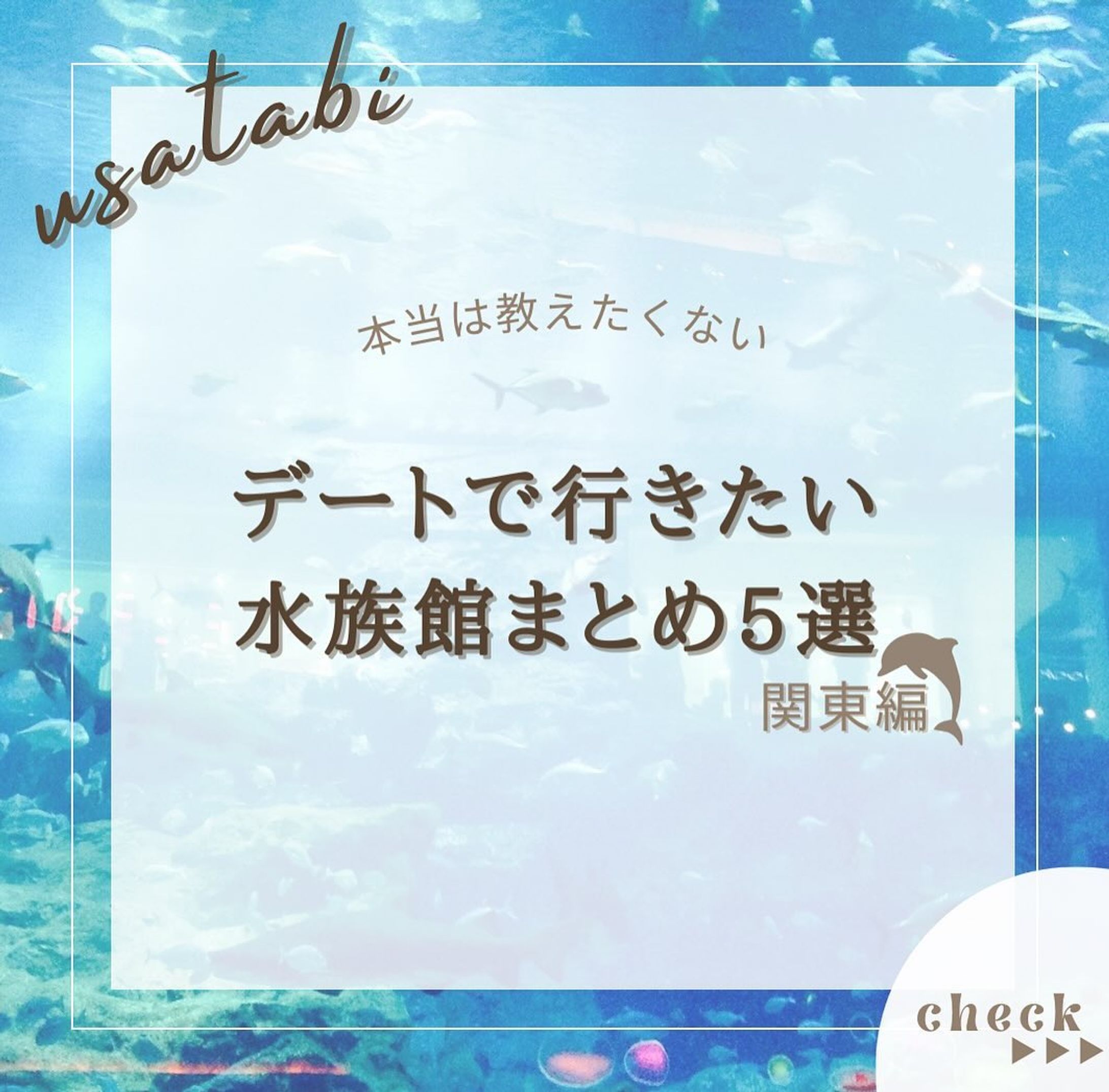 『水族館まとめ5選』をまとめてみました！
他にもオススメがあればコメントで教えてください🙇🏻‍♀️‪‪❤︎‬

2.#鴨川シーワールド

3.#アクアワールド大洗 

4.#八景島シーパラダイス 

5.#アクアパーク品川 

6.#サンシャイン水族館 

@usatabi__u._.u_でメンションor
#うさたび🏷𓈒𓏸︎をつけて
おすすめのスポット教えてください✨️

.˚⊹⁺‧┈┈┈┈┈┈┈┈┈┈┈┈‧⁺ ⊹˚.
＼”オシャレな旅に”／を発信しますꪔ̤

︎✿人気観光スポット
︎✿おすすめ旅行プラン
︎✿お得なクーポン情報

@usatabi__u._.u_

.˚⊹⁺‧┈┈┈┈┈┈┈┈┈┈┈┈‧⁺ ⊹˚.
#旅女子  #旅行  #旅  #デートスポット  #水族館 #水族館デート  #観光  #観光スポット  #ぜひ行って欲しい  #思い出  #オシャレ旅 #コスパ最強 #コスパ旅  #コスパ旅行  #お得  #お得情報  #関東  #関東スポット  #うさたび  #usatabi #関東水族館  #関東スポット  #イルカ  #ペンギン  #シャチ-1
