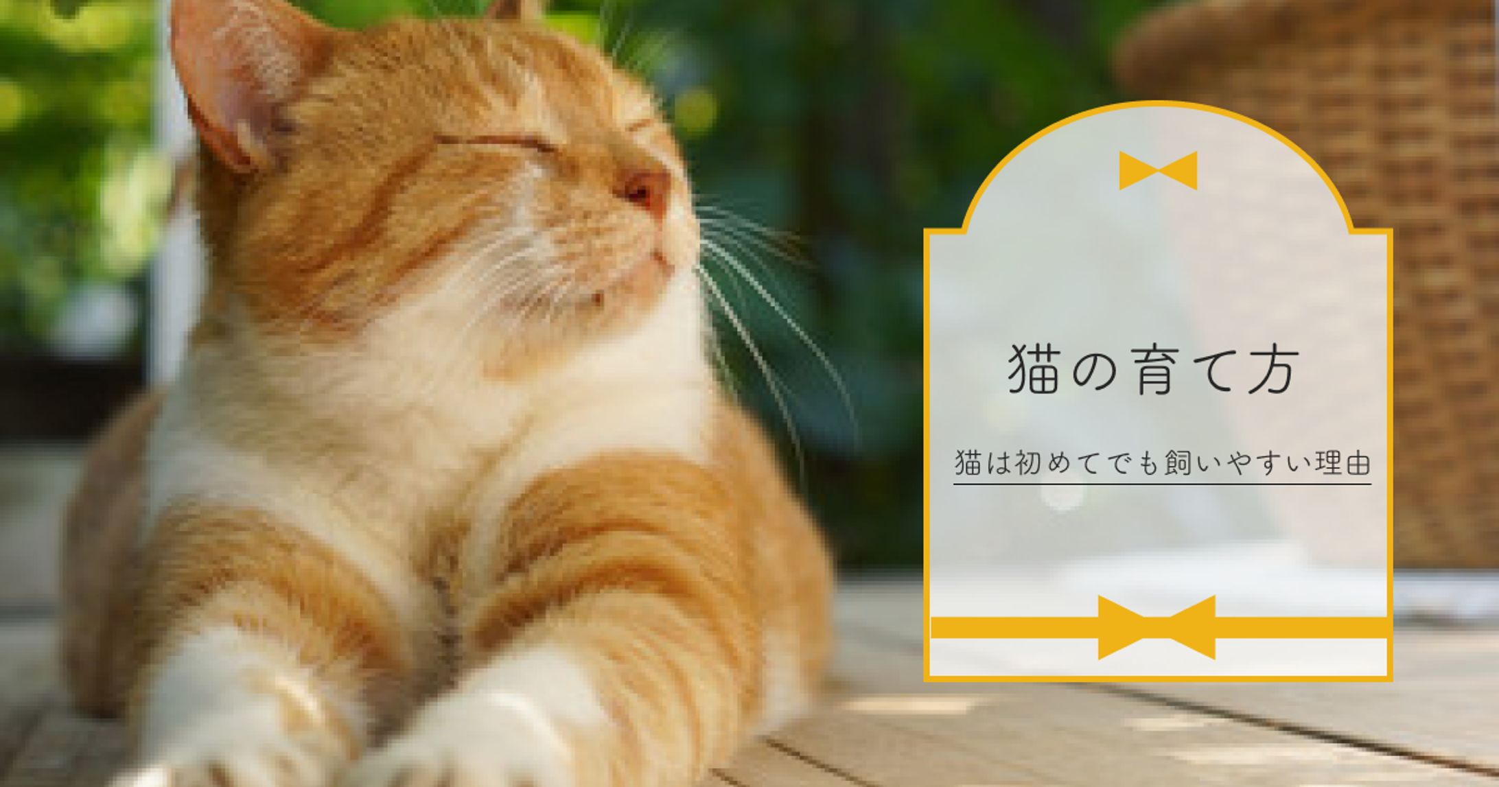 アイキャッチ-1