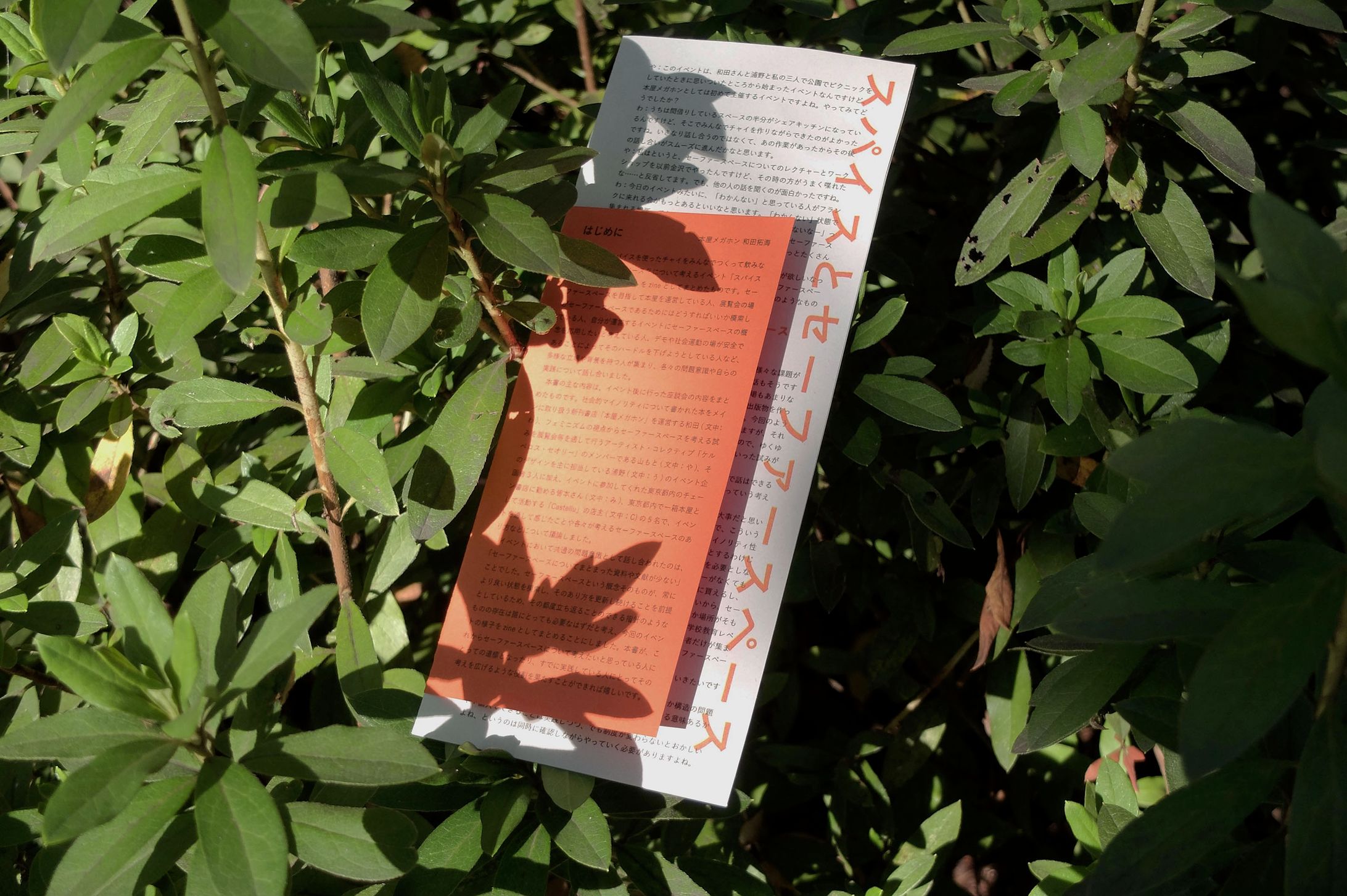 『スパイスとセーファースペース』(デザイン/執筆/企画編集)-1