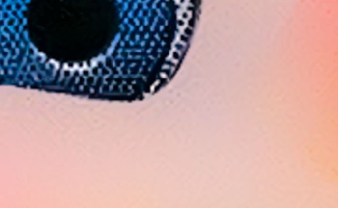 40 MINUTE MEDITATION / NOUGAT