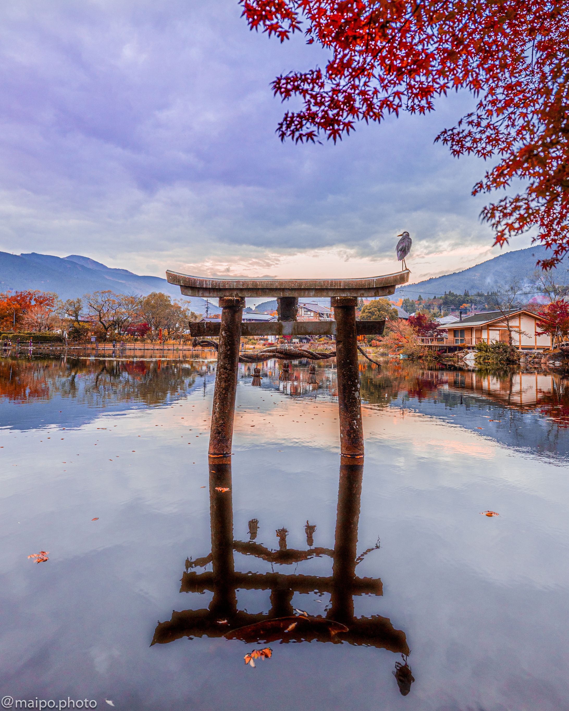 reflection-1