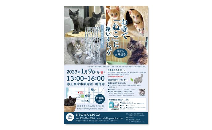 お寺で「ねこ」に逢いましょう 譲渡会in唯信寺｜チラシ