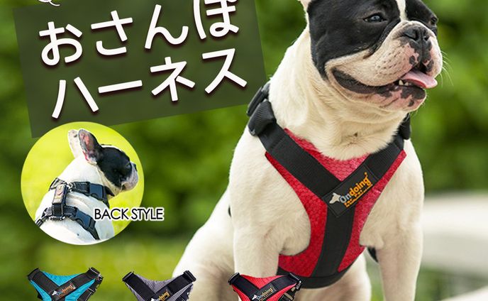 モノクロロゴデザイン、ecサイト商品画像