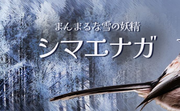 【ヘッダー】