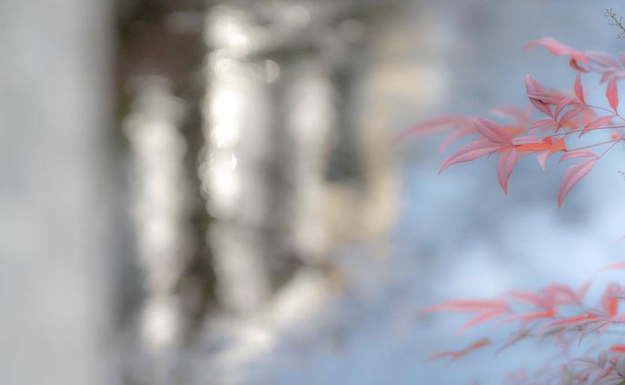 SNAPS 
Kyoto 

スナップ写真　京都

私の視点を通じて皆様の心に響く作品づくりが出来ましたら幸いです。

Hiroshi Yamaoka

#kyoto
#현대미술 
#abstractexpression
 #contemporaryart
 #artgeneve
 #写真好きな人と繋がりたい 
#現代アート
 #現代アート好きな人と繋がりたい
 #아트전시회
 #아티스트
 #photography
 #photooftheday
 #사진스타그램 
#contemporaryphotography
 #tokyoart
 #tokyoartist
 #abstractexpression
 #사진작가
 #contemparyart
 #artgeneve
 #現代芸術 
#사진스타그램
#bnw_greatshots
#bnw_lumeilio
#capturabnw
#fineartphotography 
#igersjp
#instagramjapan
#lensbabyambassador
#masters_in_bnw