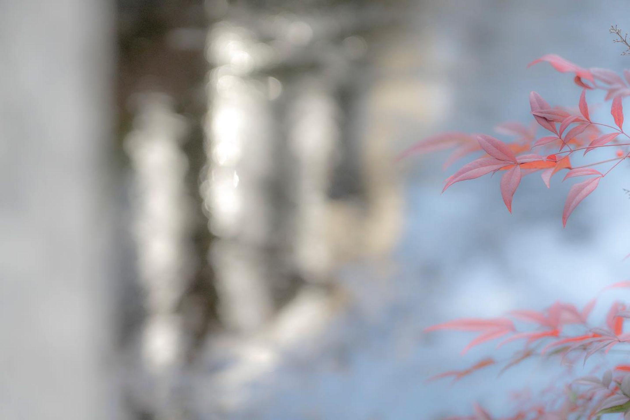 SNAPS 
Kyoto 

スナップ写真　京都

私の視点を通じて皆様の心に響く作品づくりが出来ましたら幸いです。

Hiroshi Yamaoka

#kyoto
#현대미술 
#abstractexpression
 #contemporaryart
 #artgeneve
 #写真好きな人と繋がりたい 
#現代アート
 #現代アート好きな人と繋がりたい
 #아트전시회
 #아티스트
 #photography
 #photooftheday
 #사진스타그램 
#contemporaryphotography
 #tokyoart
 #tokyoartist
 #abstractexpression
 #사진작가
 #contemparyart
 #artgeneve
 #現代芸術 
#사진스타그램
#bnw_greatshots
#bnw_lumeilio
#capturabnw
#fineartphotography 
#igersjp
#instagramjapan
#lensbabyambassador
#masters_in_bnw-1