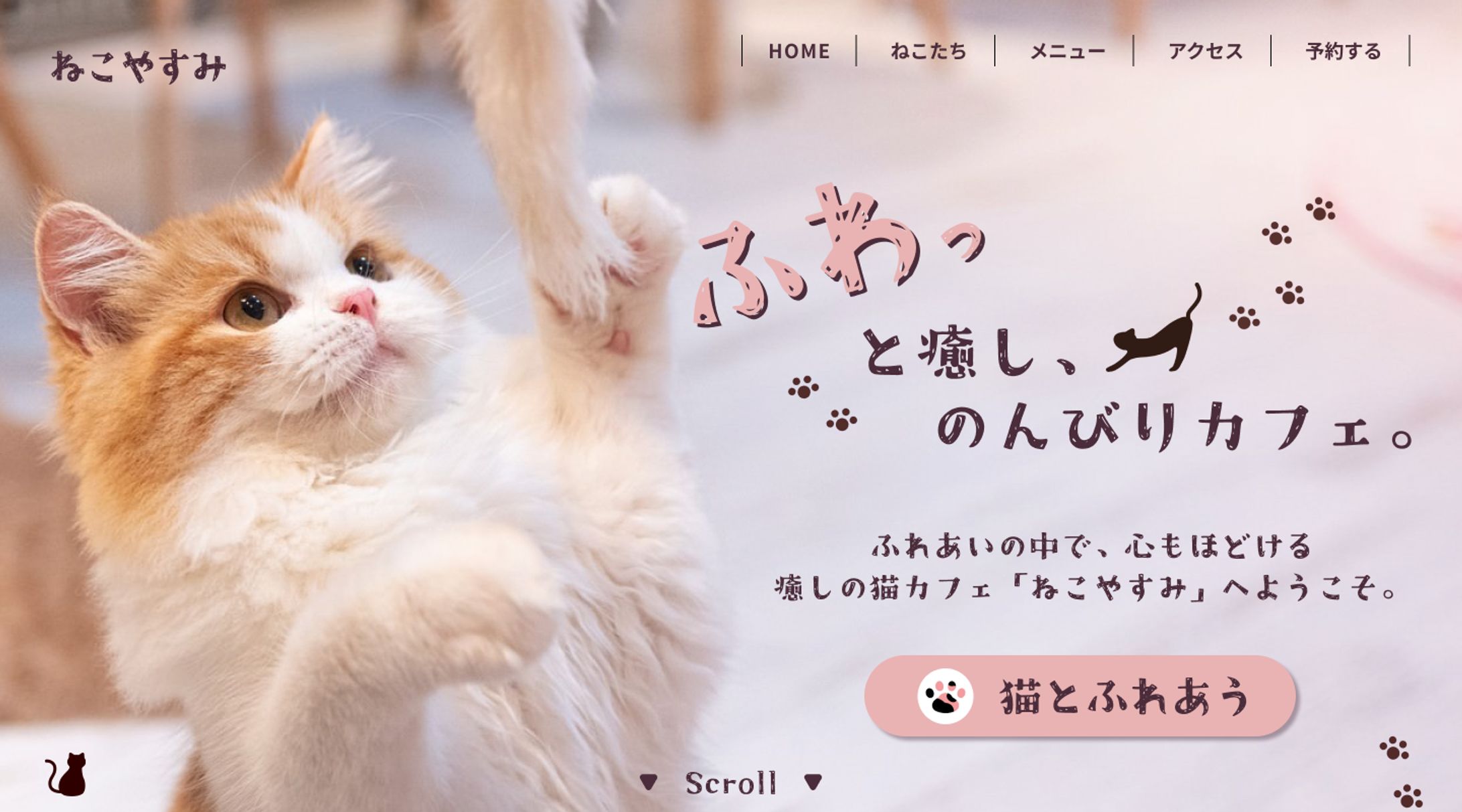 猫カフェホームページのFV-1