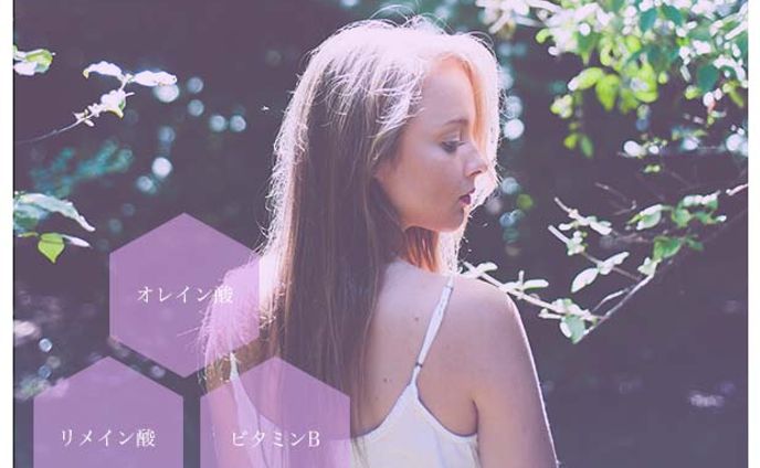 Webバナーイメージ