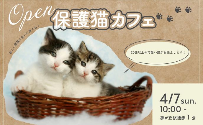 保護猫カフェのオープン告知